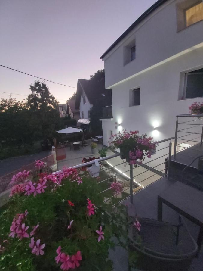 Hotel Panda Maribor Bagian luar foto